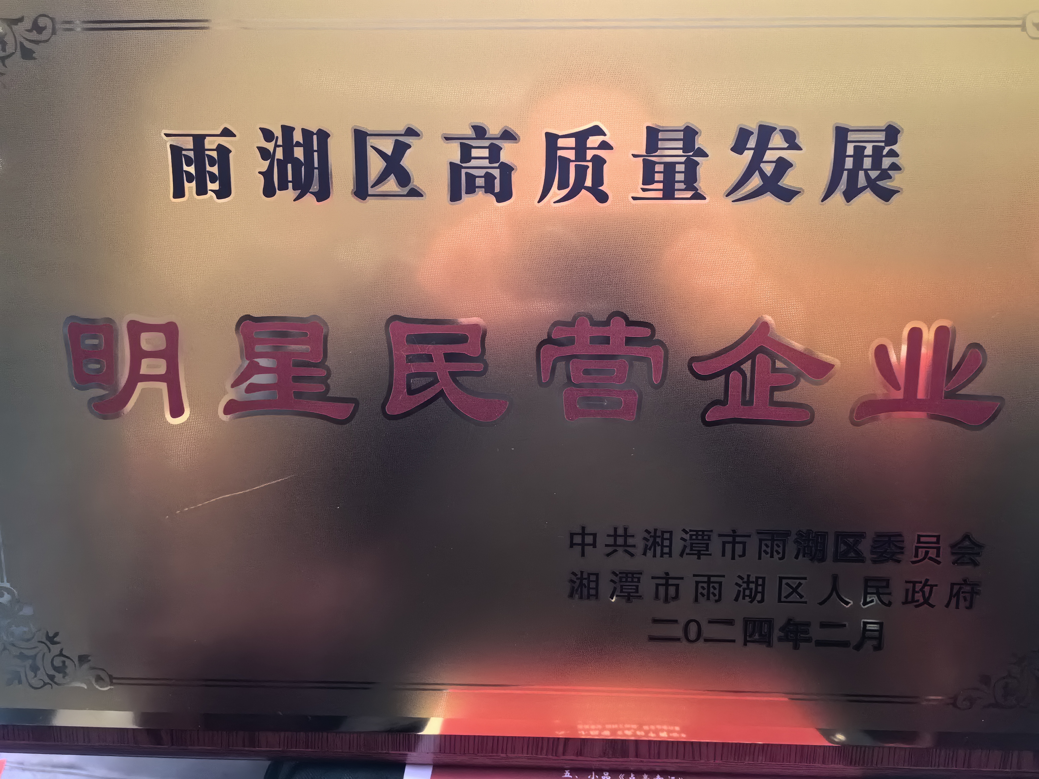 华体会（中国）荣获“雨湖区高质量发展明星民营企业”称号
